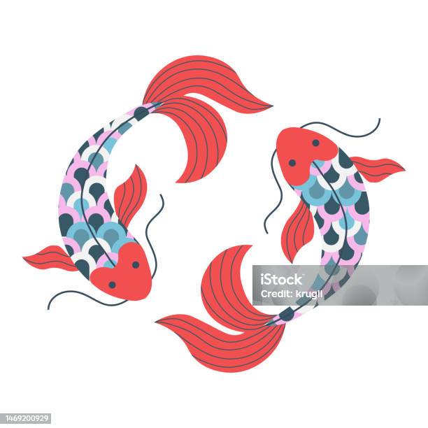 Two Japanese Fish Two Japanese Koi Carp Fish Swimming In Circle Stock Illustration ...