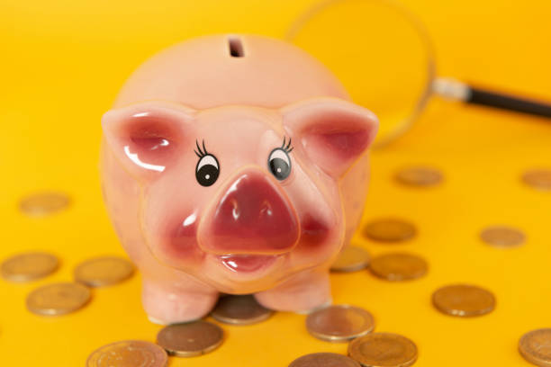 Small piggy bank and coins.