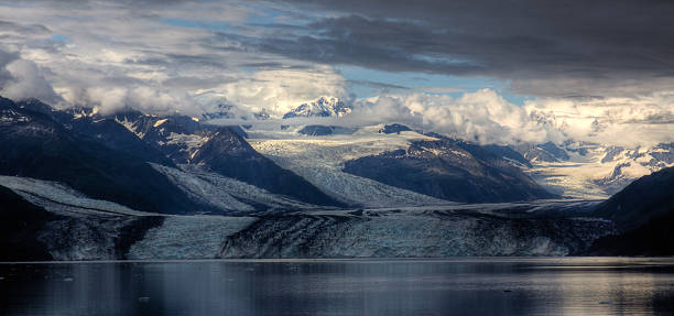 College Fjord and Harvard Glacier stock photo