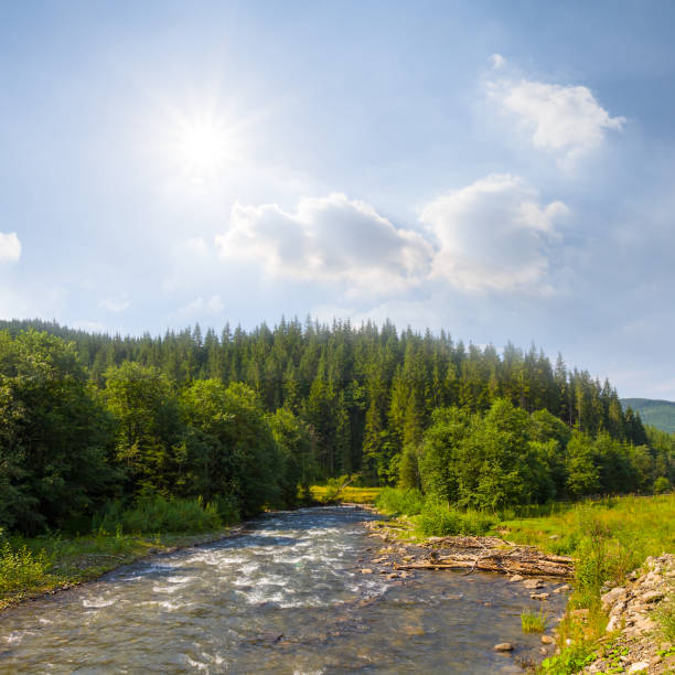 river rushing through green mountain valley at sunny day