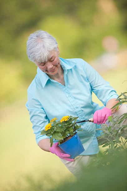 sênior mulher na flower garden - planting clothing gray hair human age - fotografias e filmes do acervo