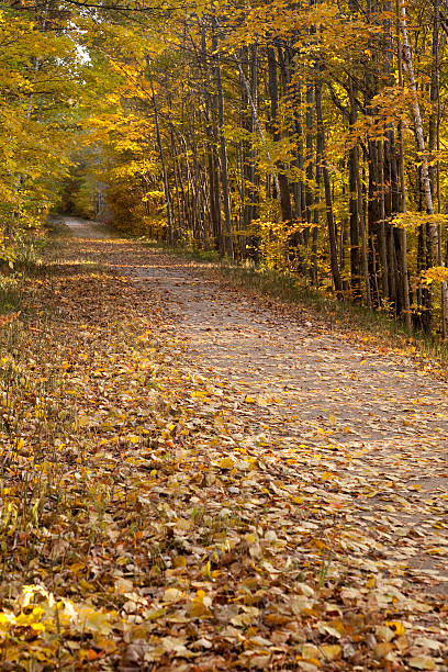 Sendero de excursionismo a través de los colores del otoño - foto de stock