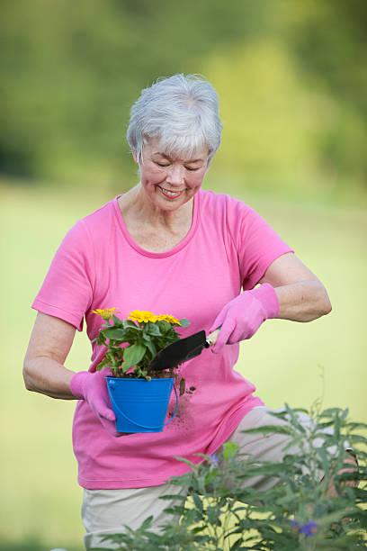 sênior mulher plantação de flores ao ar livre - planting clothing gray hair human age - fotografias e filmes do acervo