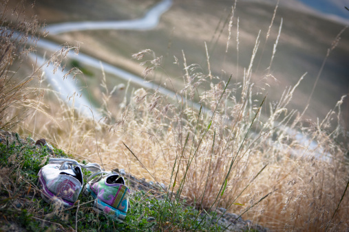 A pair of colorful shoes overlooking a windy road in the grass plains.