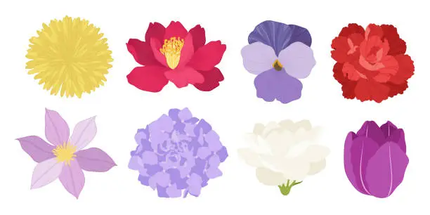 Vector illustration of Set of colorful blooming flowers illustration.