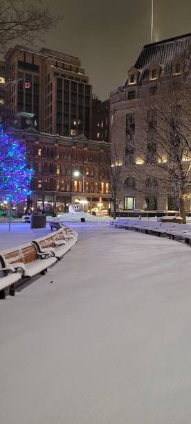 istock The alley of benches (1) 1469210682