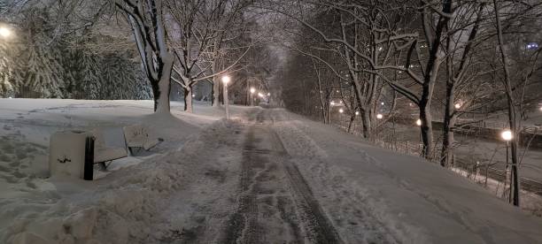 istock Winter on the Rideau Canal Western Pathway (1) 1469210834