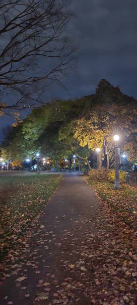 istock Autumn night colors in the Park (1) 1469212934