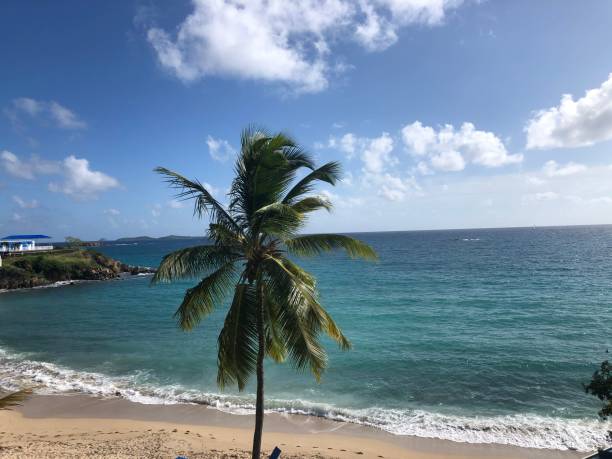 istock Beautiful beach in St. Thomas - US Virgin Islands 1469212943