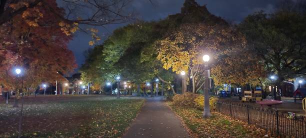 istock Autumn night colors in the Park (2) 1469212956