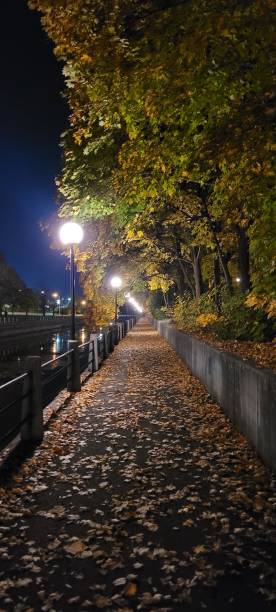istock Illuminated Rideau Canal Promenade (1) 1469212963