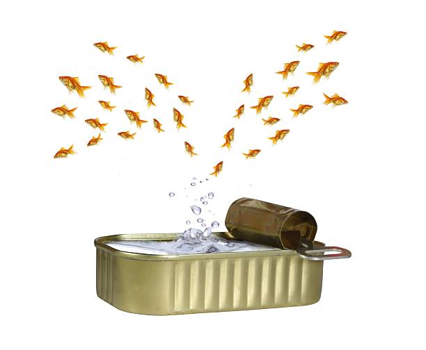 jumping out shoal