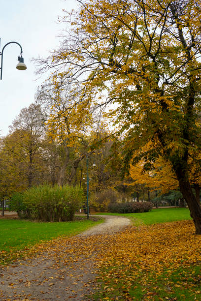 Milan, Lombardy, Italy: the Sempione park in November