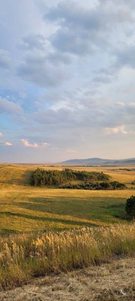 istock Golden hour on the Ranch (2) 1469215000