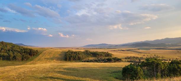 istock Golden hour on the Ranch (1) 1469215001