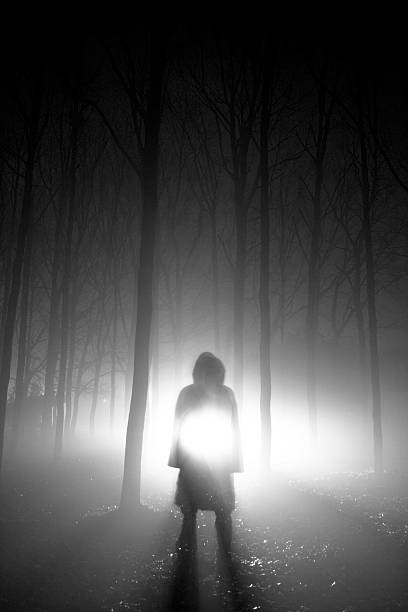 istock Hooded stranger shining a torch in a misty forest at night 146921716