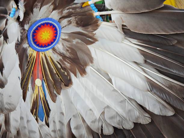 Feathers on a Native American Bustle A traditional part of a man's regalia worn during a dance exhibition or Wachipi (Pow Wow) and originates from the Plains region of the United States. north american tribal culture stock pictures, royalty-free photos & images