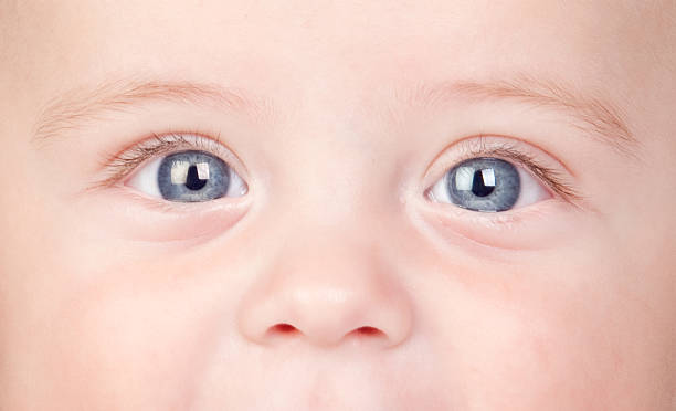 istock Beautiful babe with blue eyes 146921782