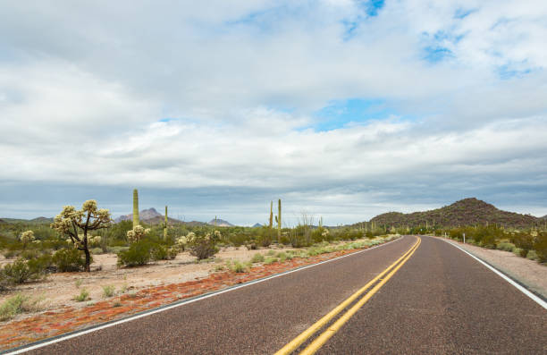 istock The Road Through Organ Pipe Cactus National Monument 1469218202