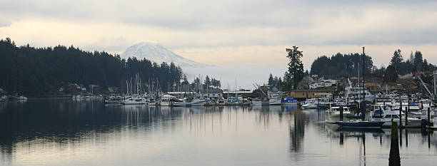 istock Mount Rainier from Gig Harbor, WA 146922025