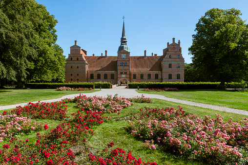 Flowering roses in a park in front of the baroque brick façade of Rosenholm Castle framed by trees in Summer, Jutland, Denmark