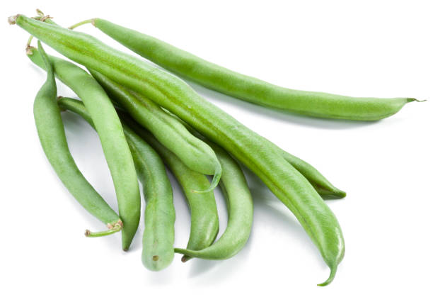 istock Bush bean pods isolated on white background. 1469220570