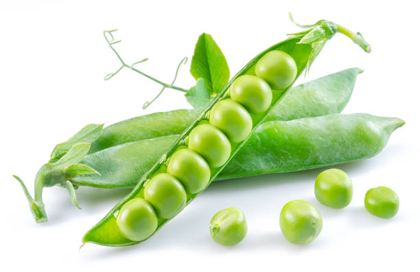 istock Opened ripe pea pods isolated on white background. 1469220586