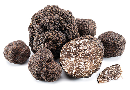 Black edible winter truffle on white background. The most famous of the truffles.