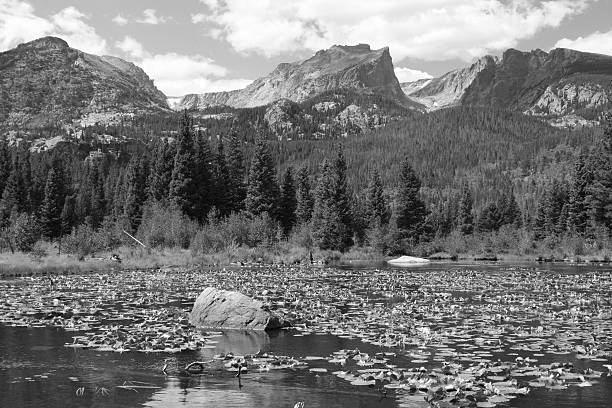Lake Lillies Black and white of mountain lake with lillies and mountains lily lake rocky mountains colorado stock pictures, royalty-free photos & images