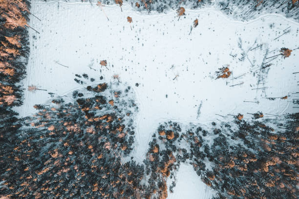 istock Field in winter forest from drone 1469221045