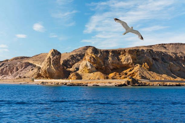 istock Mountain rock landscape sea view, Egypt 1469222232