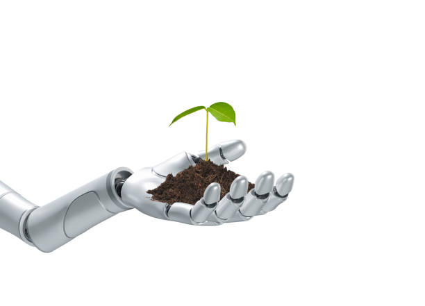 istock Robot Hand Holding Sprout isolated on white background with clipping path, concept of applying Artificial Intelligence Technology in Cultivation and Nature Conservation, 3d render 1469222915