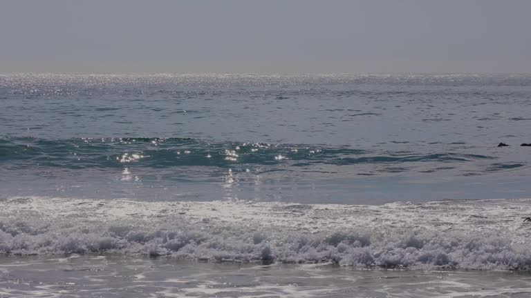 beginner surfer paddles in the ocean and then sits on the board