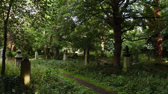 Drone shot creeping slowly through a forgotten overgrown cemetery with beautiful old headstones and dappled sunlight.