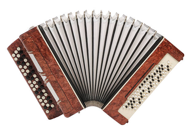 brown bayan (layout a fisarmonica) isolato su sfondo bianco - fisarmonica strumento foto e immagini stock