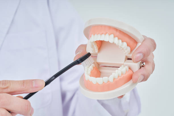 A man in a white coat with a dental model