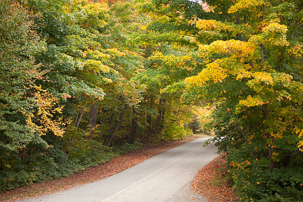Road Through Fall Colors stock photo