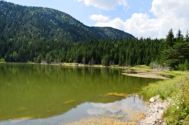 istock natural lake on the mountain 1469231794