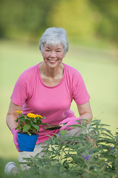 mulher sênior trabalhando no flower garden - planting clothing gray hair human age - fotografias e filmes do acervo