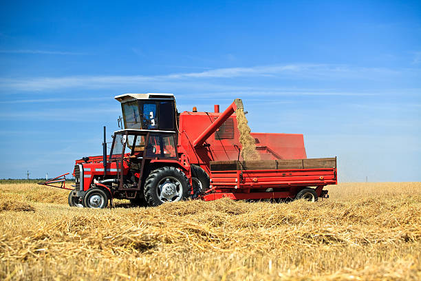 istock Tractor and combine harvesting wheat 146923215