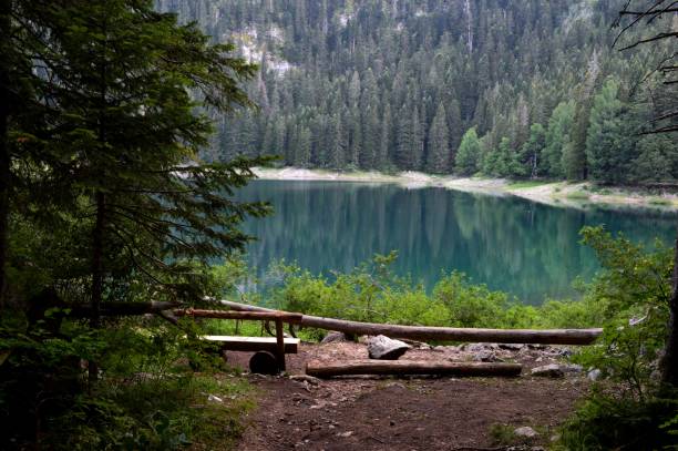 istock bench on the shore of the lake 1469232853