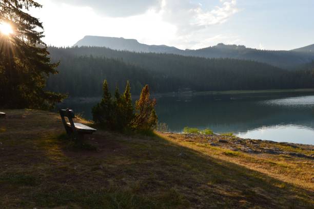 istock bench on the shore of the lake 1469233693