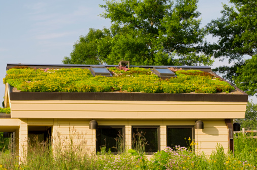 Photo of Lebanon Hills Visitor Center rental building in Eagan Minnesota with gardens and  green roof in bloom