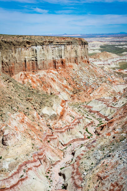 istock Painted Landscape of Coal Mine Canyon 1469241613
