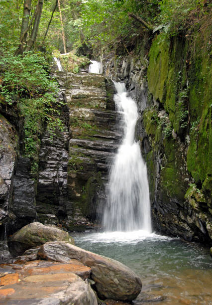 istock Waterfall on Lushan Mountain in Jiangxi Province, China 1469242009