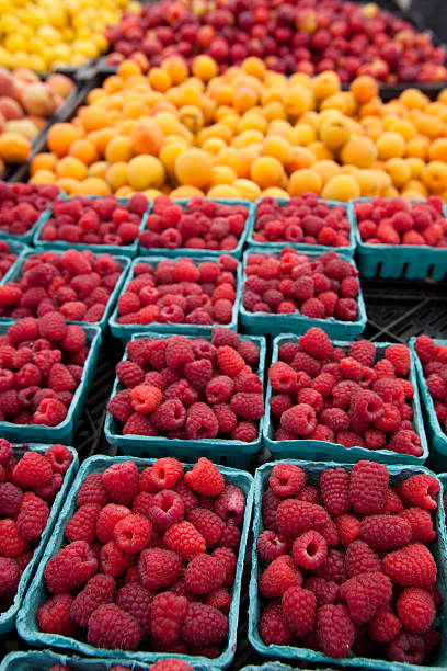 Berries stock photo