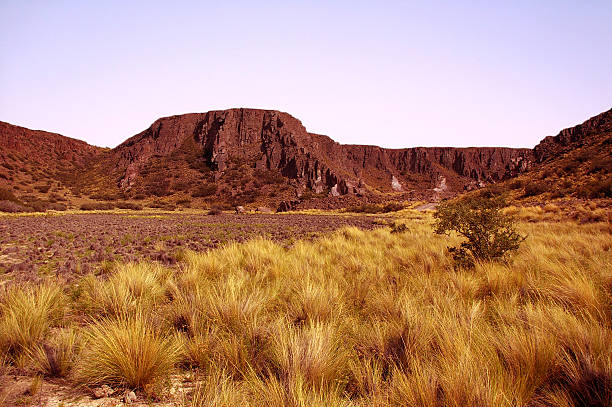 Desert stock photo