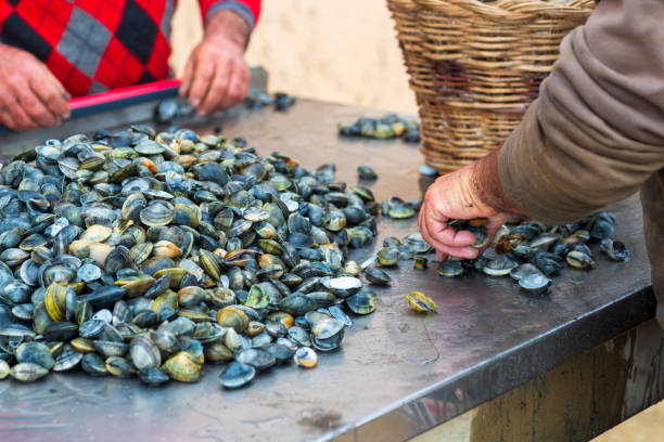 Seafood Delights: People Selecting Fresh Oysters at a Sustainable Farm
