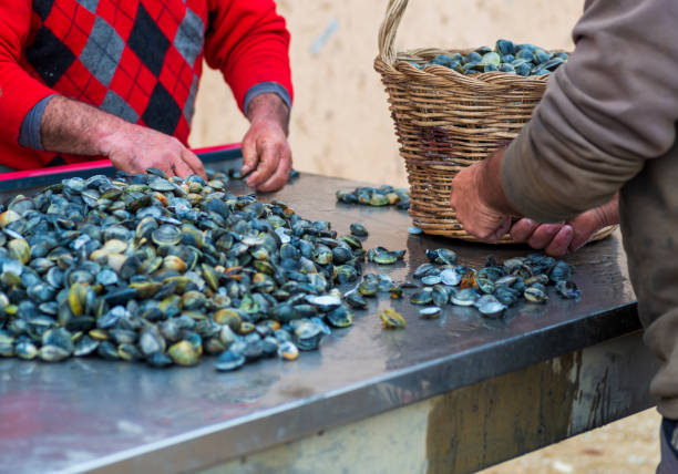 istock Healthy Choices: Cultivating Quality Proteins at the Oyster Farm 1469245130