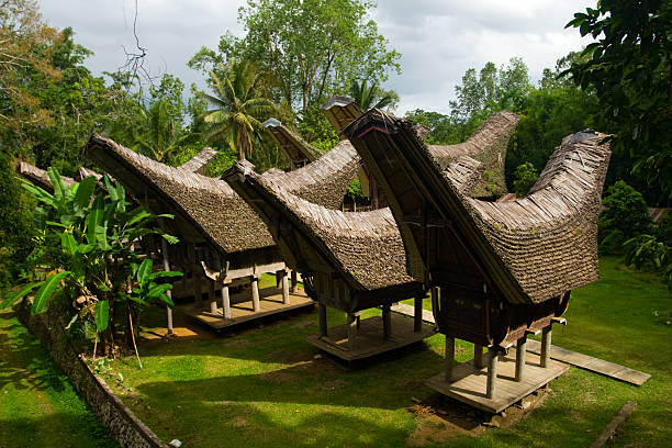 istock Traditional Torajan Boat Houses 146924720